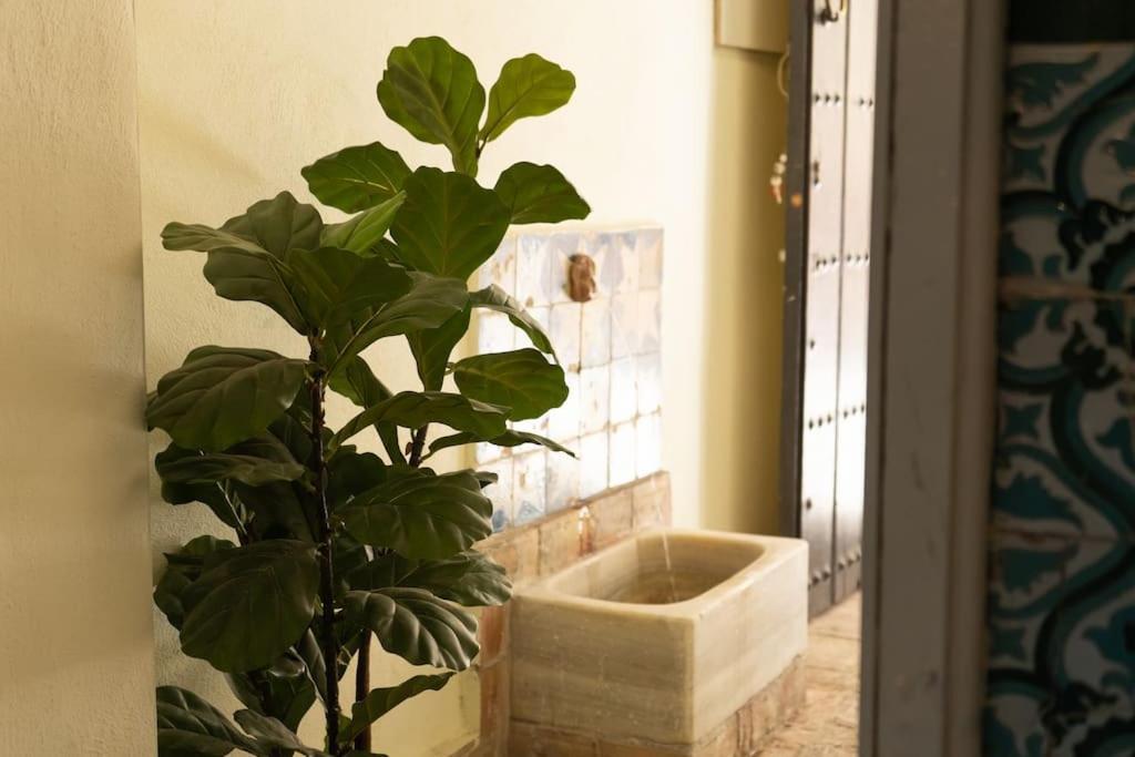 Nueva Casa Boutique En El Centro De Sevilla Екстер'єр фото